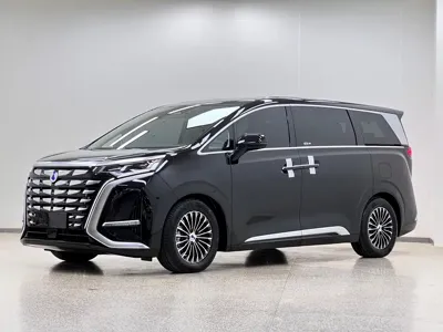 Denza Denza D9 · 2025 год