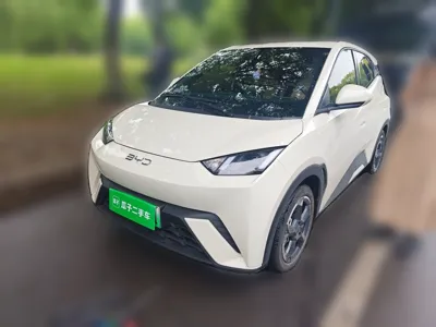 BYD Seagull · 2024 год