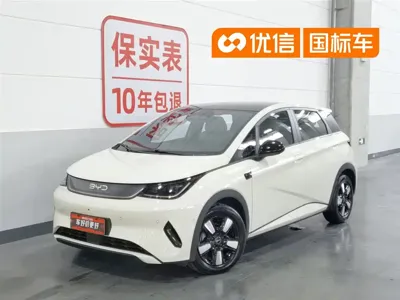 BYD Dolphin · 2025 год