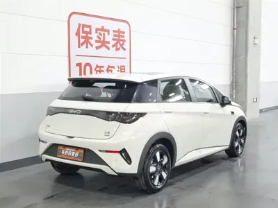 BYD Dolphin 2025, 23400 км, за 11150.39 USD