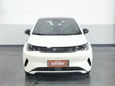 BYD Dolphin 2025, 23400 км, за 11150.39 USD