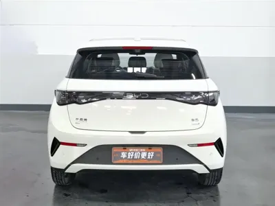 BYD Dolphin 2025, 23400 км, за 11150.39 USD