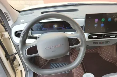Geely Galaxy Panda 2025, 8200 км, за 6636 USD - фото 13