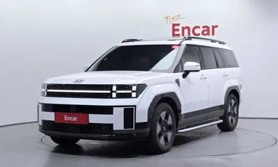 Hyundai Santafe · 2024 год