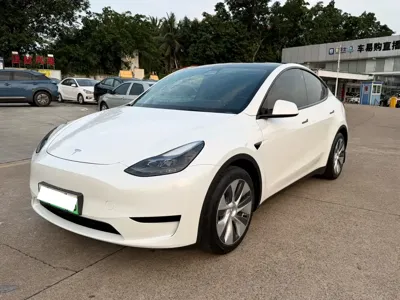 Tesla Model Y · 2022 год