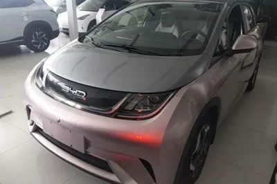 BYD Dolphin · 2021 год
