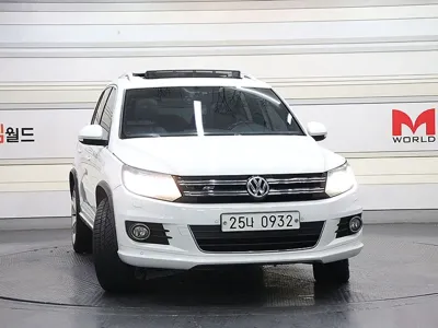 Volkswagen Tiguan · 2015 год