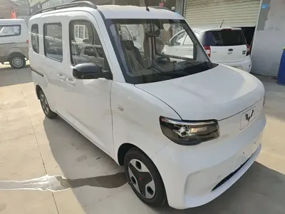 Wuling Zhiguang EV 2026, 100 км, за 7259.91 USD
