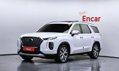 Hyundai Palisade · 2019 год