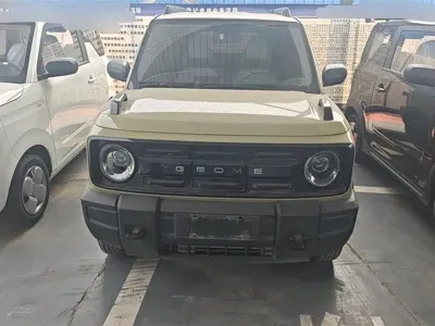 Galaxy Panda 2025, 3500 км, за 5398.67 USD