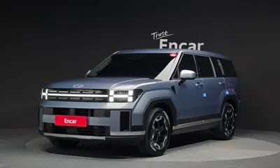 Hyundai Santafe · 2025 год