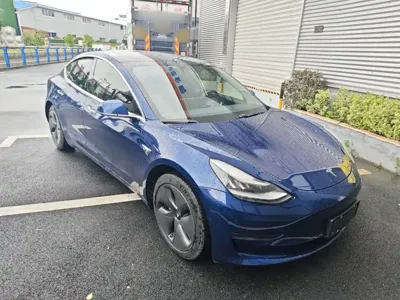 Tesla Model 3 2019, 137500 км, за 14481.76 USD