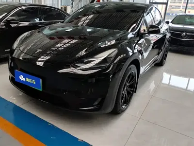Tesla Model Y · 2022 год