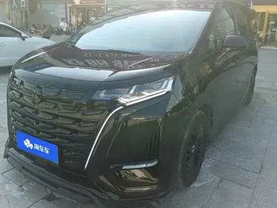 Denza Denza D9 · 2023 год