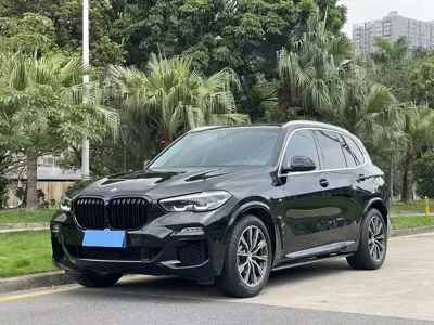 BMW X5 (Import) · 2021 год
