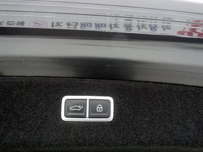 Genesis G90 2022, 131543 км, за 31245.9 USD