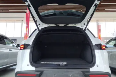 BYD Song Pro New Energy