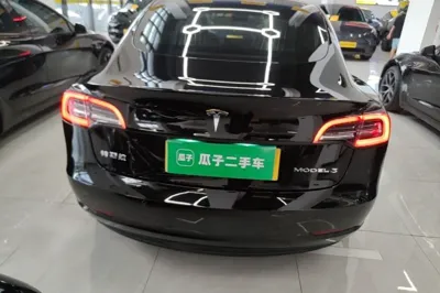 Tesla Model 3 2019, 82400 км, за 18161 USD - фото 6