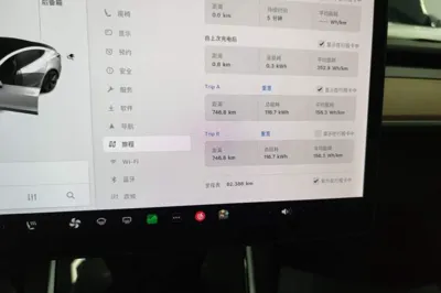 Tesla Model 3 2019, 82400 км, за 18161 USD - фото 20