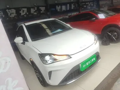 NETA Neta AYA 2024, 37500 км, за 6621.41 USD