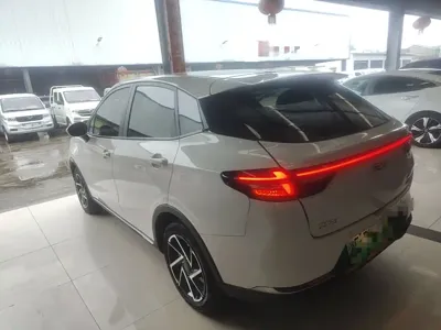 NETA Neta AYA 2024, 37500 км, за 6621.41 USD