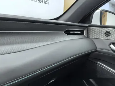 BYD Qin Plus 2025, 16299 км, за 13066.26 USD - фото 16