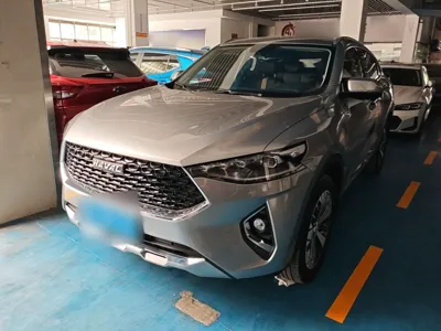 Haval F7x · 2019 год