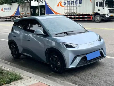 BYD Seagull 2024, 38000 км, за 6833.63 USD