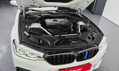 BMW 5-Series 2018, 91000 км, за 17824.63 USD - фото 6