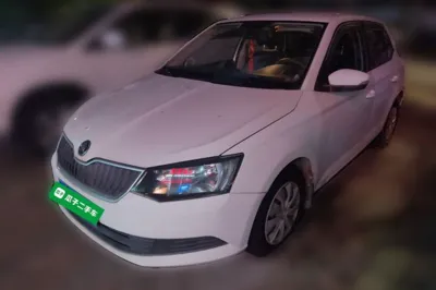 Skoda Fabia · 2015 год