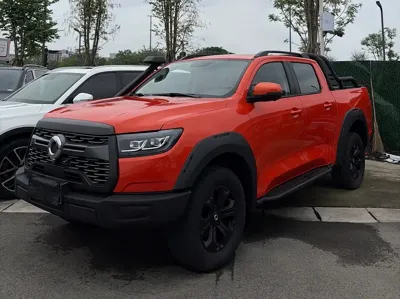 Great Wall Pao · 2022 год