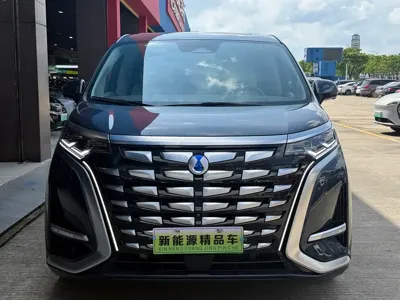 Denza Denza D9