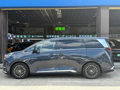 Denza Denza D9