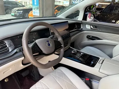 Denza Denza D9