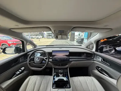 Denza Denza D9