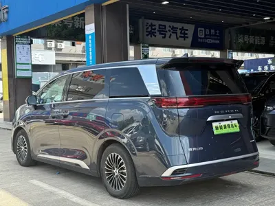 Denza Denza D9