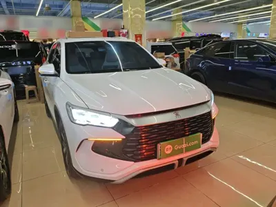 BYD Pro New Energy 2024, 36000 км, за 10829.69 USD
