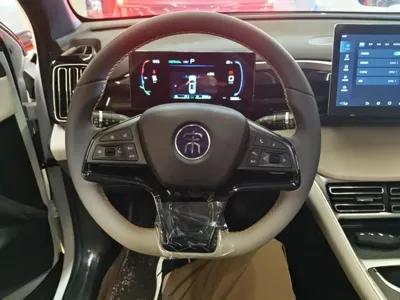 BYD Pro New Energy 2024, 36000 км, за 10829.69 USD - фото 11