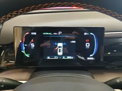 BYD Pro New Energy 2024, 36000 км, за 10829.69 USD - фото 12