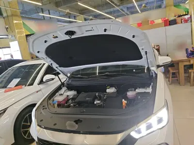BYD Pro New Energy 2024, 36000 км, за 10829.69 USD - фото 20