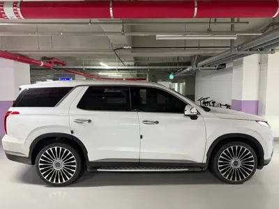 Hyundai Palisade 2024, 20650 км, за 18818.77 USD