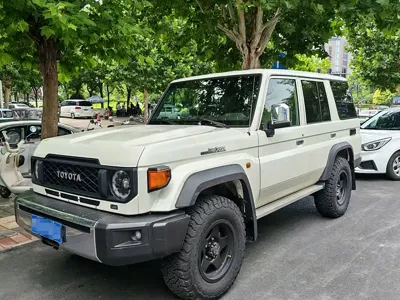 Toyota Land Cruiser · 2025 год