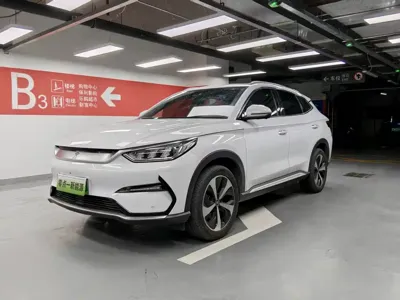 BYD PLUS New Energy · 2021 год