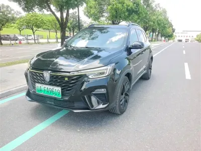 Roewe RX5 New Energy · 2021 год