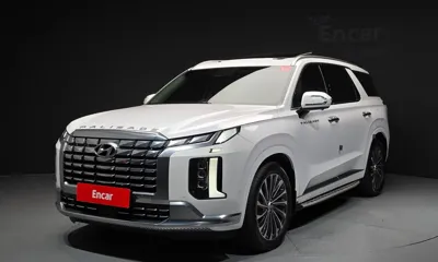 Hyundai Palisade · 2024 год