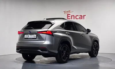 Lexus NX 2018, 114353 км, за 19036.37 USD