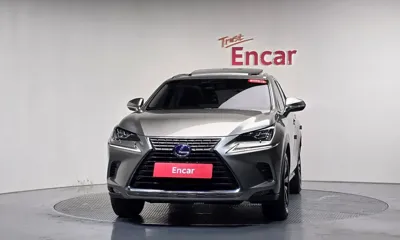 Lexus NX 2018, 114353 км, за 19036.37 USD