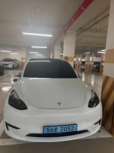 Tesla Model Y · 2024 год