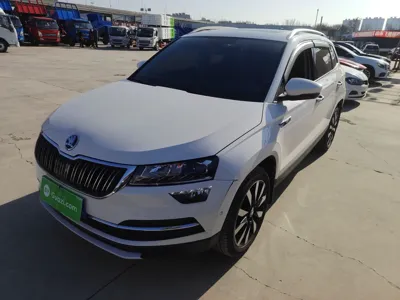 Skoda Karoq · 2021 год