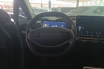 Venucia VX6